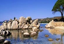 2025年01月11日球会友谊特里内茨vs维卡瓦斯历史战绩，交战记录，比分预测.